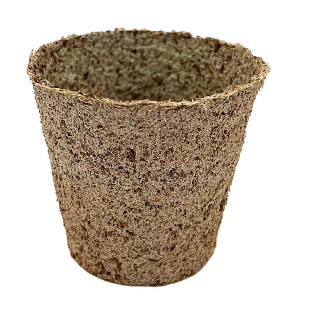 Bramley & Sage 6cm Round Peat-Free Fibre Jiffy Plant Pots (Pack of 50)