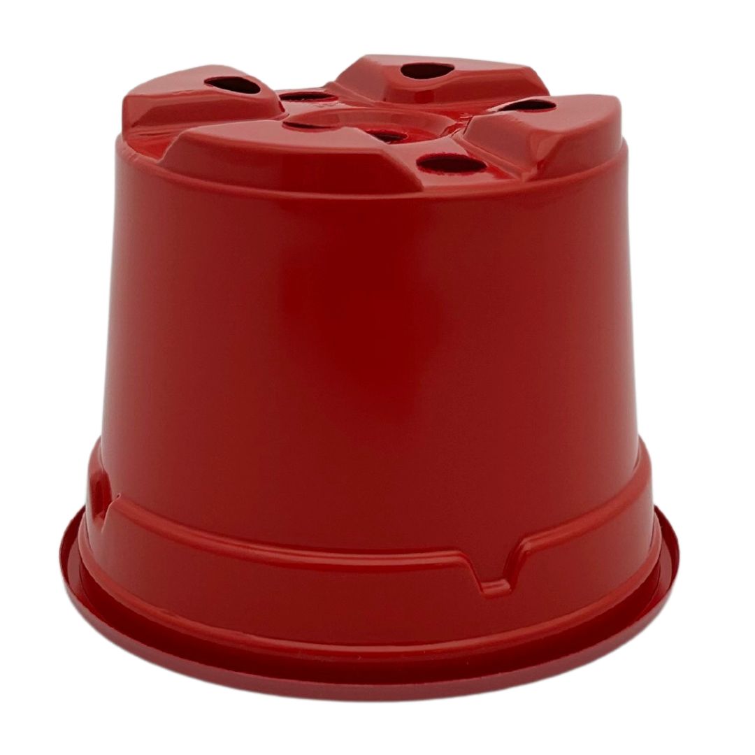 Bramley & Sage 9cm Red Coloured Pots (Set of 25)