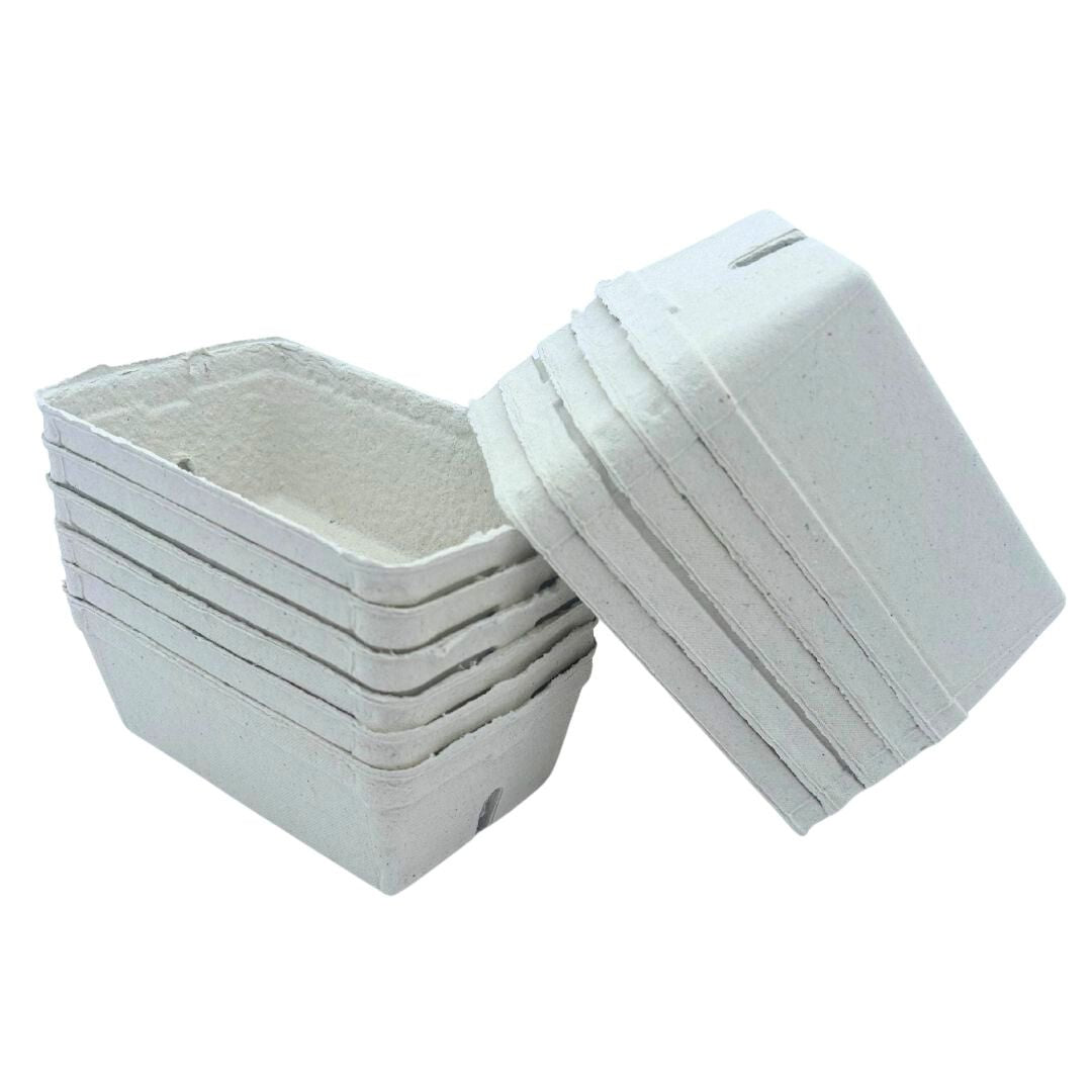 Bramley & Sage 250g Biodegradable Fibre Fruit Punnets