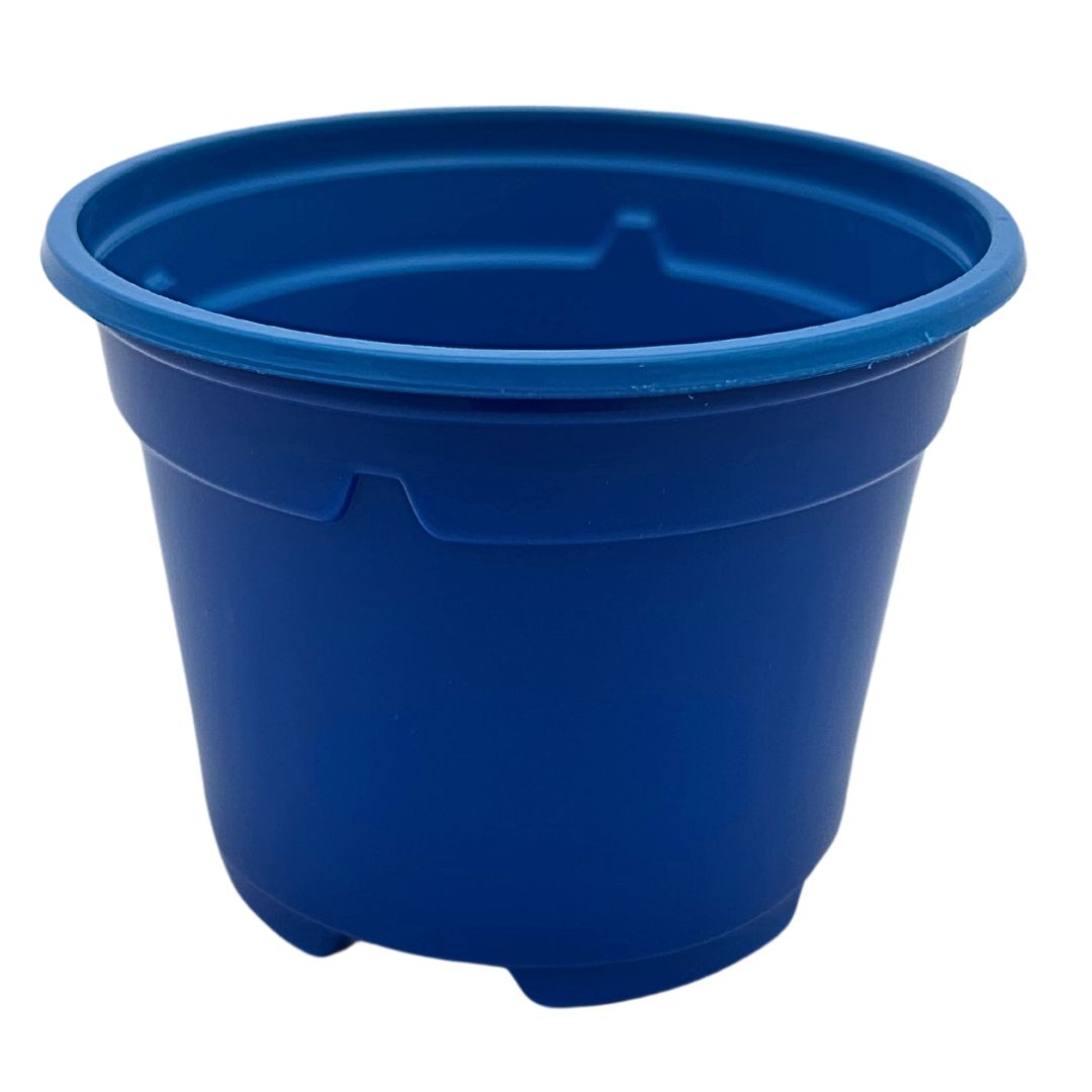 Bramley & Sage 9cm Blue Coloured Pots - set of 25