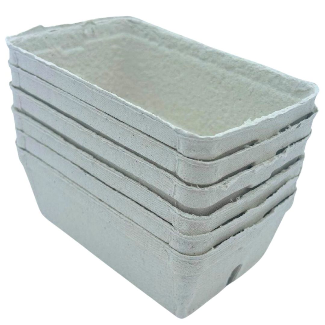 Bramley & Sage 250g Biodegradable Fibre Fruit Punnets