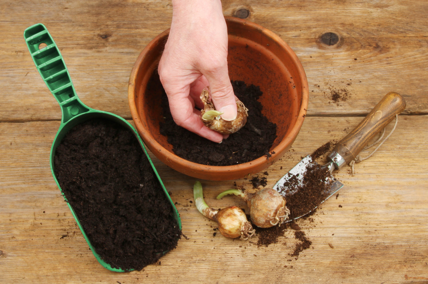 Bramley & Sage Green Handy Scoop