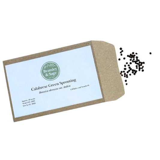 Bramley & Sage Green Sprouting Calabrese Seeds – 20 seeds pp