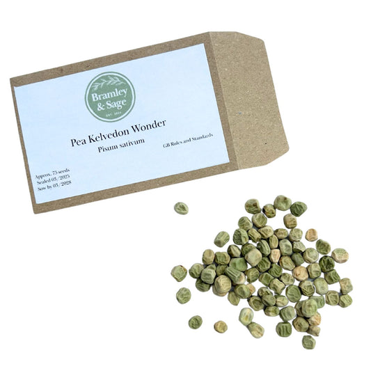 Bramley & Sage Second Early Kelvedon Wonder Pea Seeds – approx. 75 seeds pp.